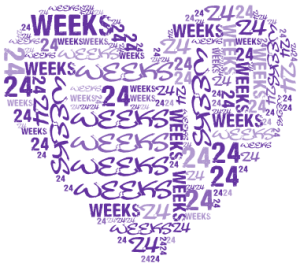 keeping up with the bump pregnancy diary week 24