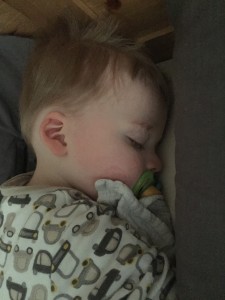 project 365 - week 13