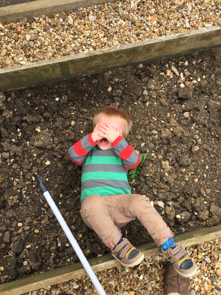 making our house a home vegetable patch garden makeover 