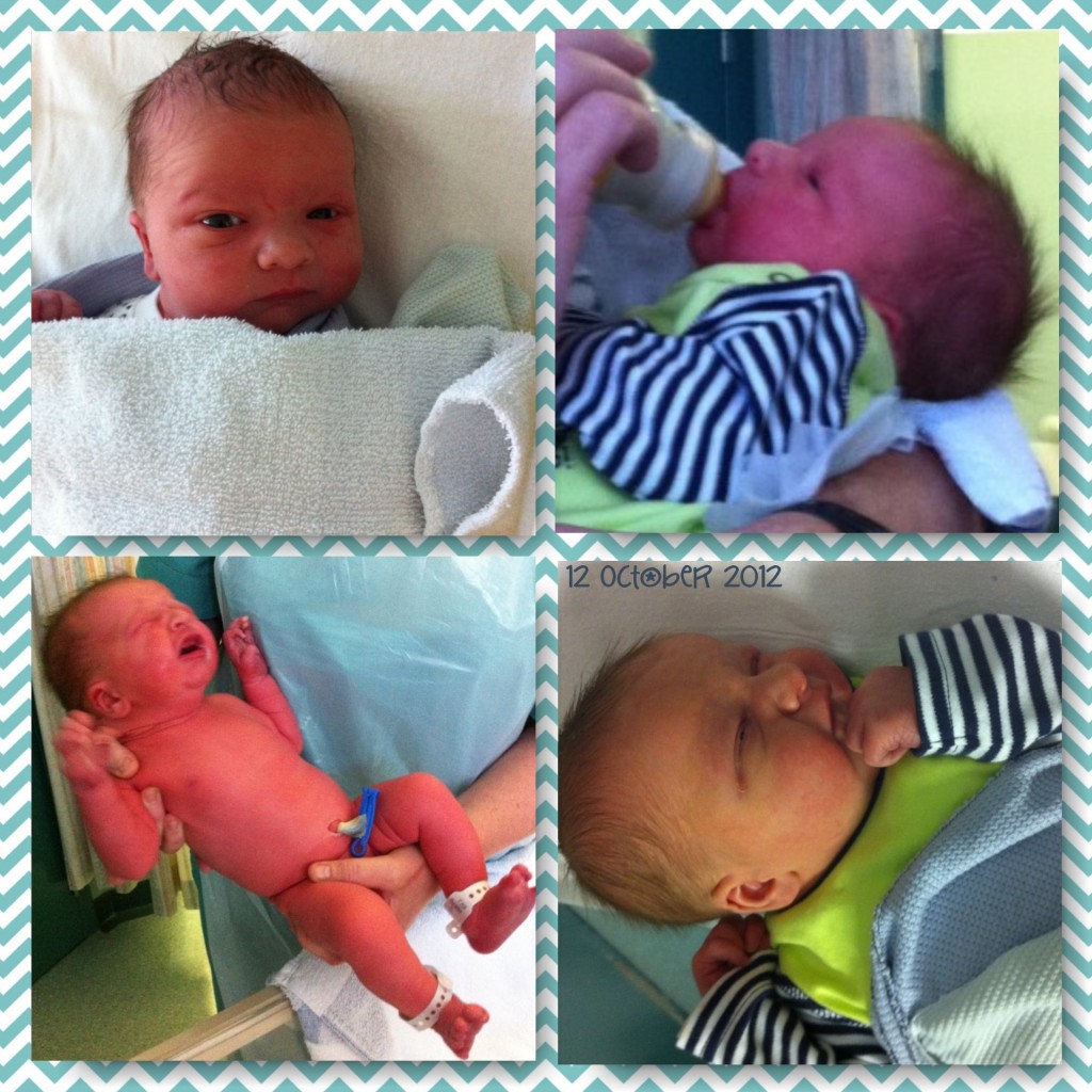 ickle pickle kai collage guest post raising the rings