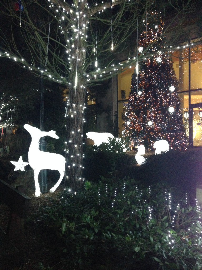 center parcs elveden forest winter wonderland reindeer christmas trees break weekend