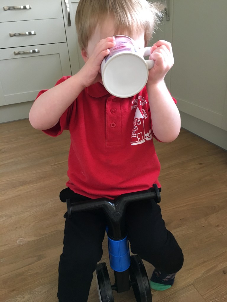 toddlebike balance bike cycling toddler logo kids toys biking