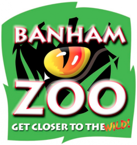 banham zoo places to go in norfolk with kids for holiday school to do day out