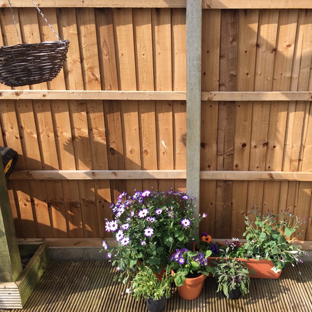 ocean loans national gardening week garden overhaul spring clean challenge flowers pretty cheap small changes