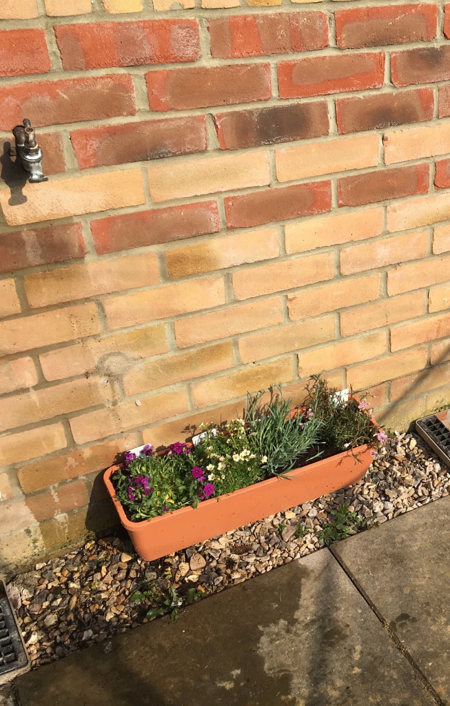 ocean loans national gardening week garden overhaul spring clean challenge flowers pretty cheap small changes