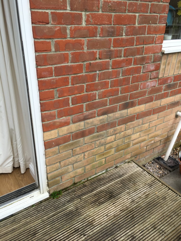 ocean loans national gardening week garden overhaul spring clean challenge flowers pretty cheap small changes
