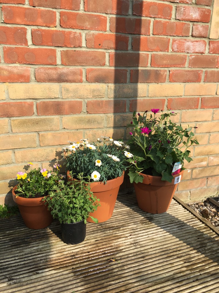 ocean loans national gardening week garden overhaul spring clean challenge flowers pretty cheap small changes