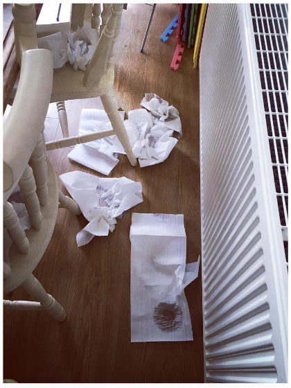 potty training are we nearly there yet? wee accident all over the kitchen floor loads of kitchen roll wet toilet training mess worse than a dog
