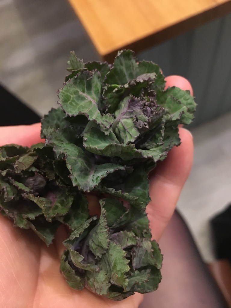 kalettes event michel roux jr school cactus kitchens leafy vegetable brussels sprouts and kale purple