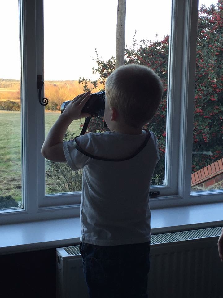 living arrows 3/52 week three 3 toby looking out over a field explorer castle rising