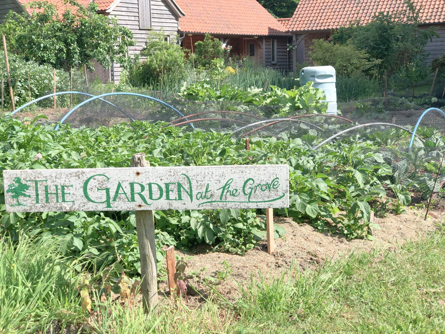 the grove hotel cromer review afternoon tea grounds the garden fresh produce with cottages in background