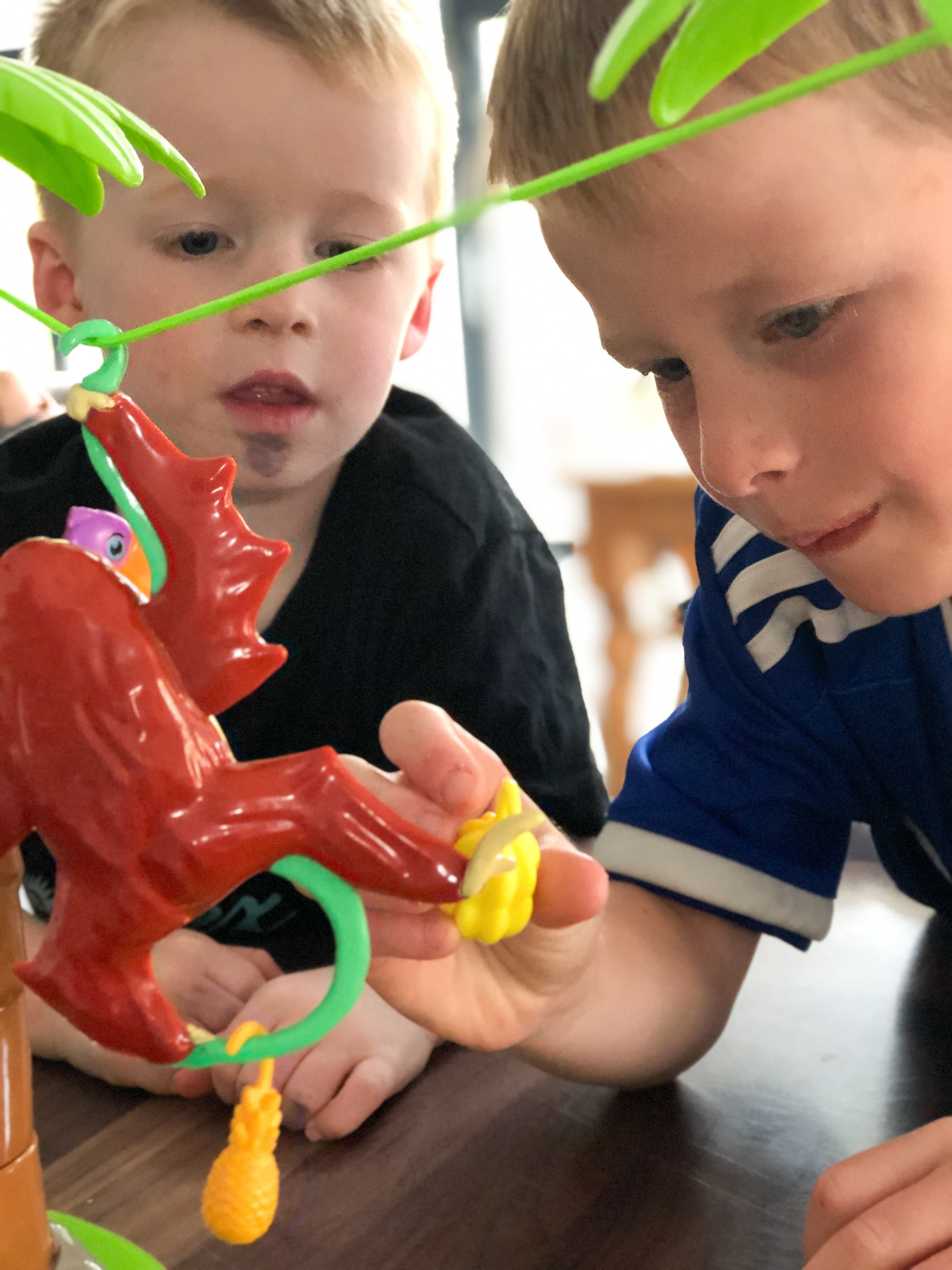 boys playing orangutwang game hanging pieces of fruit